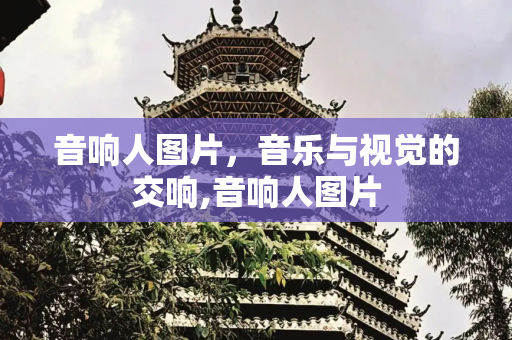 音响人图片，音乐与视觉的交响,音响人图片