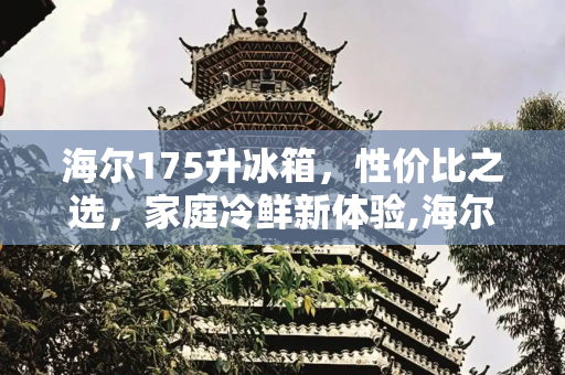 海尔175升冰箱，性价比之选，家庭冷鲜新体验,海尔冰箱175升价格
