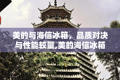 美的与海信冰箱，品质对决与性能较量,美的海信冰箱质量对比