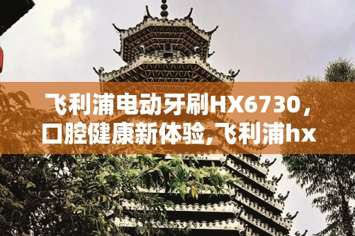 飞利浦电动牙刷HX6730，口腔健康新体验,飞利浦hx6730