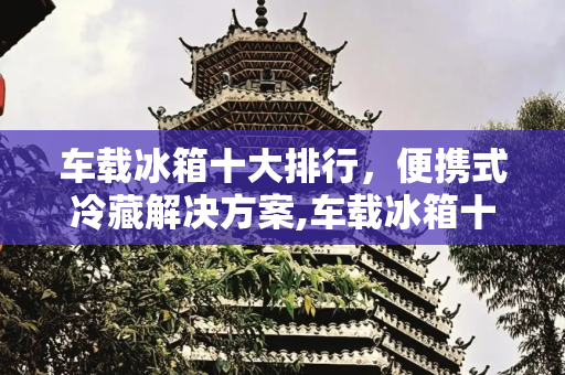 车载冰箱十大排行，便携式冷藏解决方案,车载冰箱十大排行
