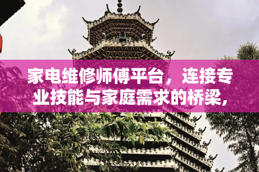 家电维修师傅平台，连接专业技能与家庭需求的桥梁,家电维修师傅平台