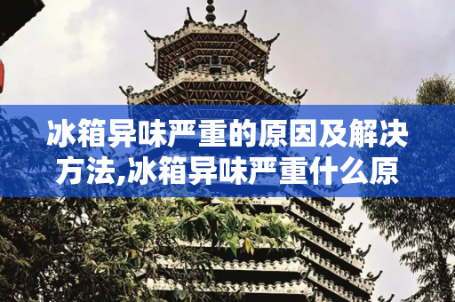 冰箱异味严重的原因及解决方法,冰箱异味严重什么原因