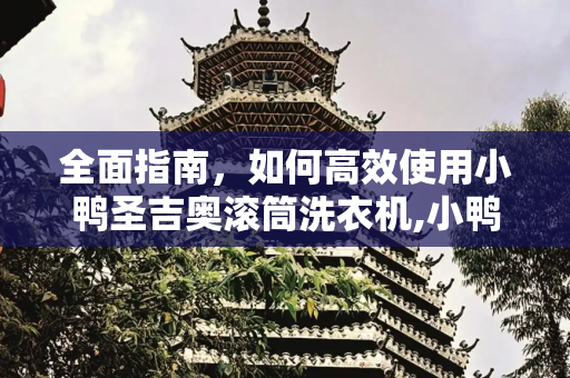 全面指南，如何高效使用小鸭圣吉奥滚筒洗衣机,小鸭圣吉奥滚筒洗衣机怎么用