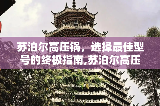 苏泊尔高压锅，选择最佳型号的终极指南,苏泊尔高压锅哪一款最好