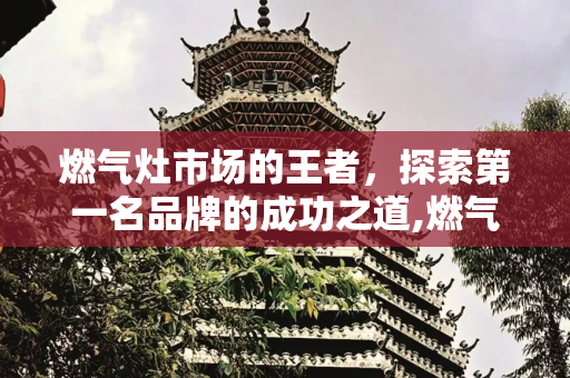 燃气灶市场的王者，探索第一名品牌的成功之道,燃气灶第一名