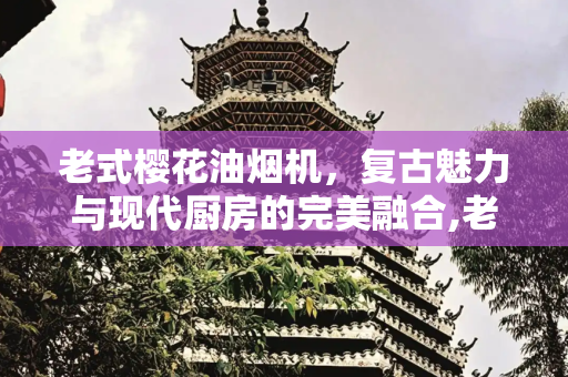 老式樱花油烟机，复古魅力与现代厨房的完美融合,老式樱花油烟机