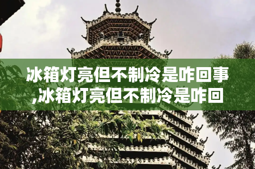 冰箱灯亮但不制冷是咋回事,冰箱灯亮但不制冷是咋回事
