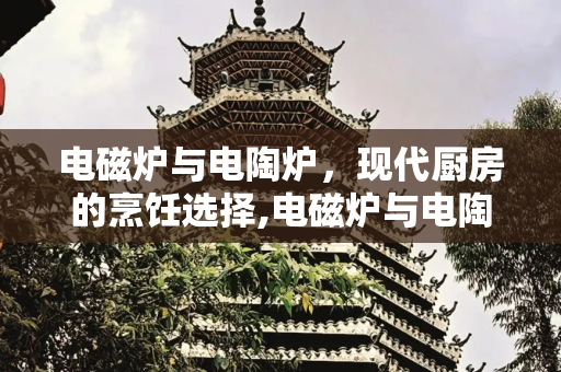 电磁炉与电陶炉，现代厨房的烹饪选择,电磁炉与电陶炉哪个好