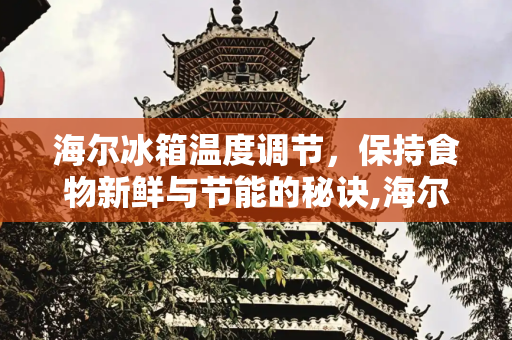 海尔冰箱温度调节，保持食物新鲜与节能的秘诀,海尔冰箱温度调节