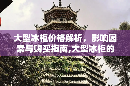 大型冰柜价格解析，影响因素与购买指南,大型冰柜的价格