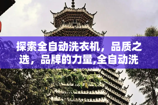 探索全自动洗衣机，品质之选，品牌的力量,全自动洗衣机什么牌子质量好