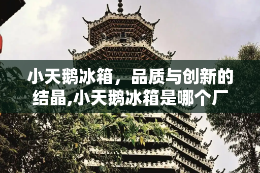 小天鹅冰箱，品质与创新的结晶,小天鹅冰箱是哪个厂家生产的