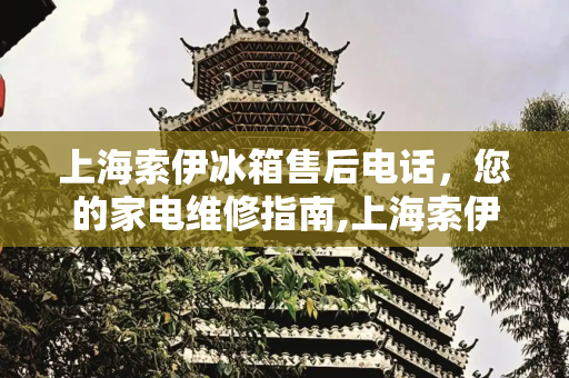 上海索伊冰箱售后电话，您的家电维修指南,上海索伊冰箱售后电话