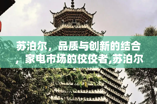 苏泊尔，品质与创新的结合，家电市场的佼佼者,苏泊尔是什么档次