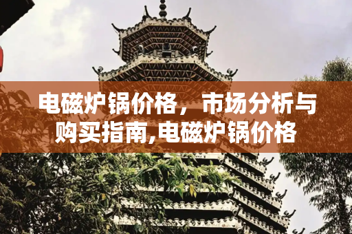 电磁炉锅价格，市场分析与购买指南,电磁炉锅价格