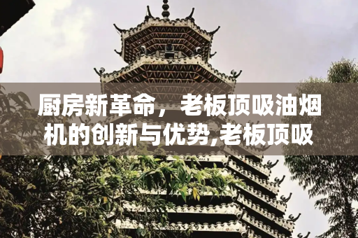 厨房新革命，老板顶吸油烟机的创新与优势,老板顶吸油烟机