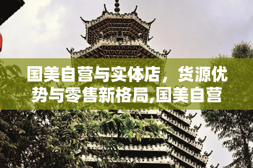 国美自营与实体店，货源优势与零售新格局,国美自营和国美实体店货源