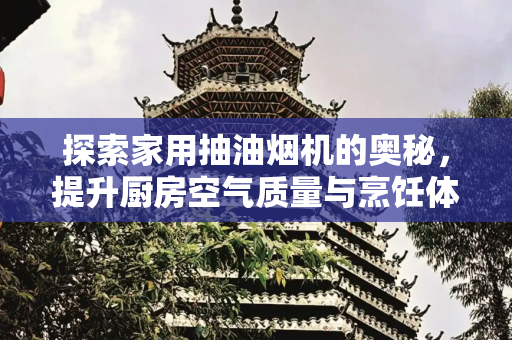 探索家用抽油烟机的奥秘，提升厨房空气质量与烹饪体验,抽油烟机家用