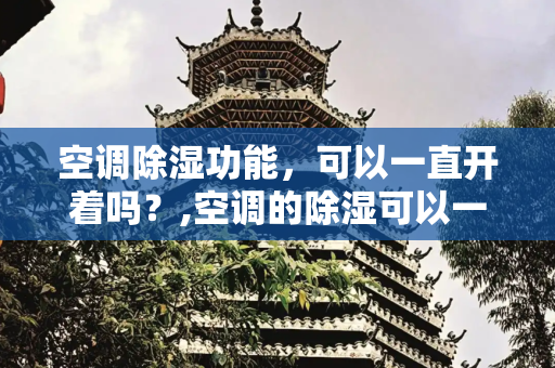 空调除湿功能，可以一直开着吗？,空调的除湿可以一直开着吗