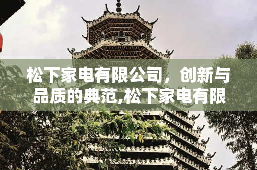 松下家电有限公司，创新与品质的典范,松下家电有限公司