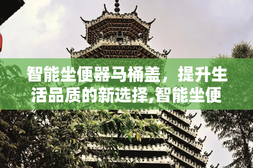 智能坐便器马桶盖，提升生活品质的新选择,智能坐便器马桶盖