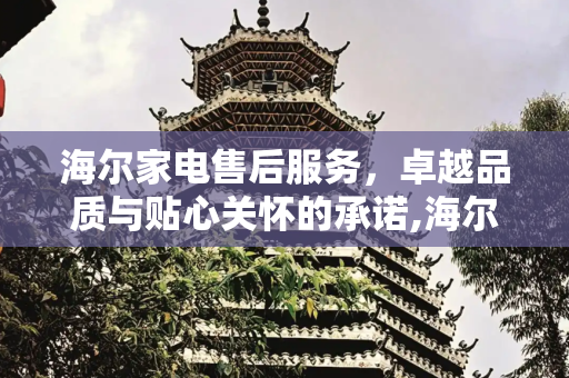 海尔家电售后服务，卓越品质与贴心关怀的承诺,海尔家电售后服务
