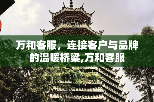 万和客服，连接客户与品牌的温暖桥梁,万和客服