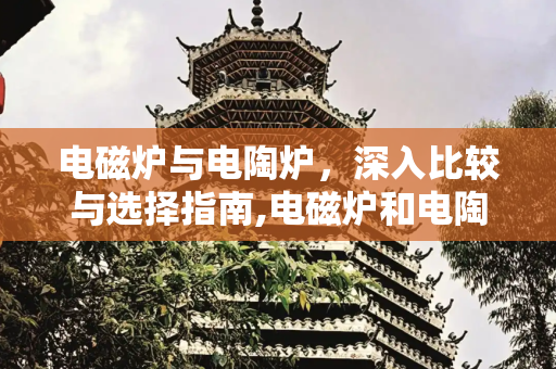 电磁炉与电陶炉，深入比较与选择指南,电磁炉和电陶炉区别哪个好
