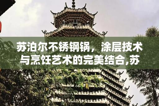 苏泊尔不锈钢锅，涂层技术与烹饪艺术的完美结合,苏泊尔不锈钢锅有涂层吗