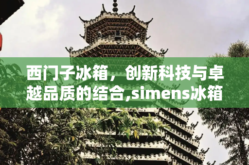 西门子冰箱，创新科技与卓越品质的结合,simens冰箱