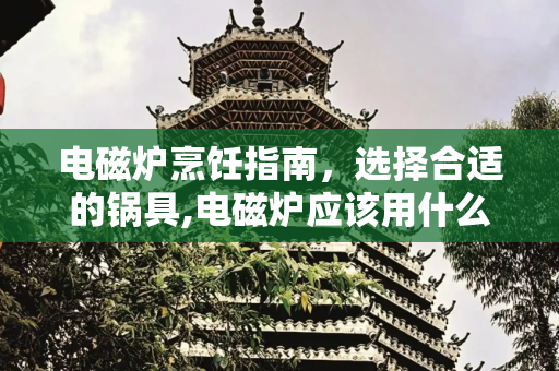 电磁炉烹饪指南，选择合适的锅具,电磁炉应该用什么锅