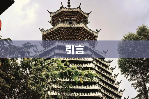 引言