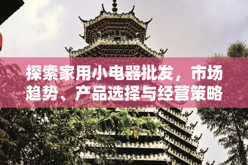探索家用小电器批发，市场趋势、产品选择与经营策略,家用小电电器批发