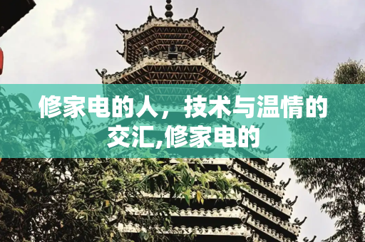 修家电的人，技术与温情的交汇,修家电的