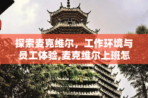 探索麦克维尔，工作环境与员工体验,麦克维尔上班怎么样