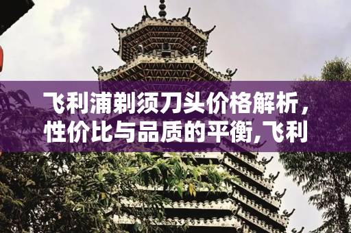 飞利浦剃须刀头价格解析，性价比与品质的平衡,飞利浦剃须刀头价格