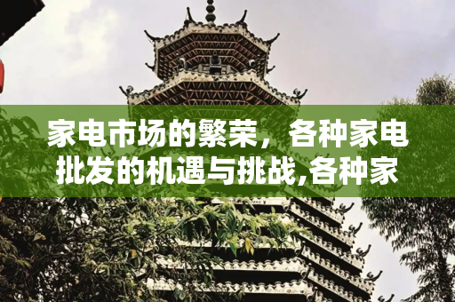 家电市场的繁荣，各种家电批发的机遇与挑战,各种家电批发