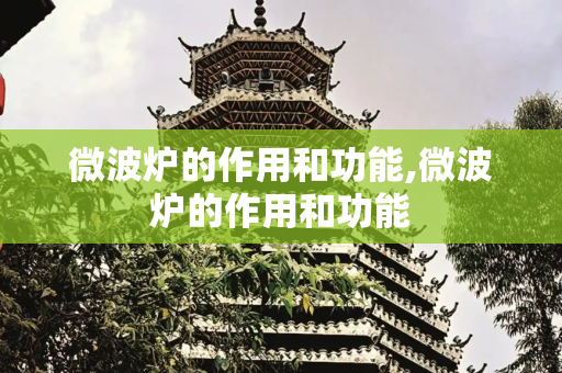 微波炉的作用和功能,微波炉的作用和功能
