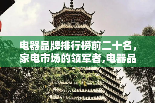 电器品牌排行榜前二十名，家电市场的领军者,电器品牌排行榜前二十名