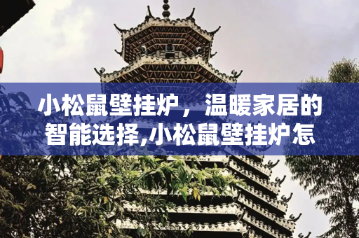 小松鼠壁挂炉，温暖家居的智能选择,小松鼠壁挂炉怎么样好不好