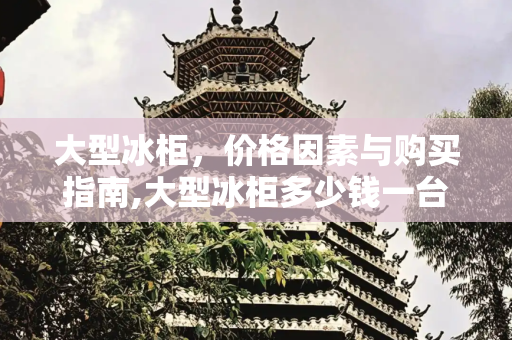 大型冰柜，价格因素与购买指南,大型冰柜多少钱一台