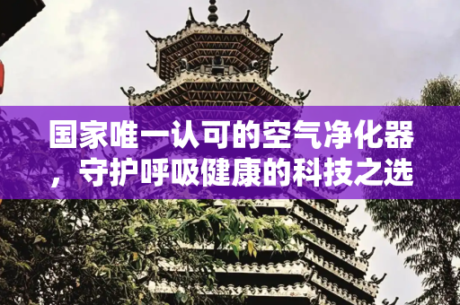 国家唯一认可的空气净化器，守护呼吸健康的科技之选,国家唯一认可的空气净化器
