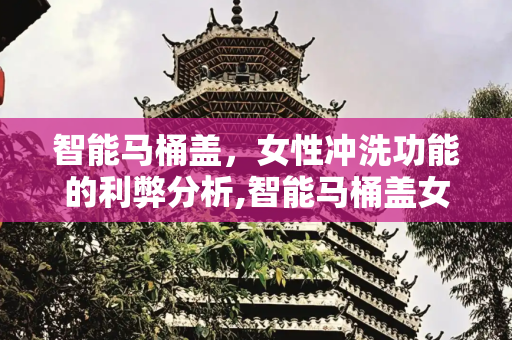 智能马桶盖，女性冲洗功能的利弊分析,智能马桶盖女性冲洗弊端