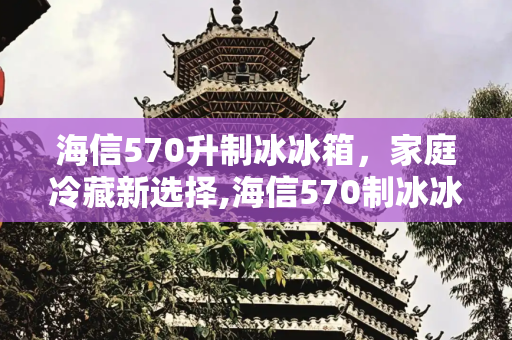 海信570升制冰冰箱，家庭冷藏新选择,海信570制冰冰箱