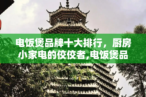 电饭煲品牌十大排行，厨房小家电的佼佼者,电饭煲品牌十大排行