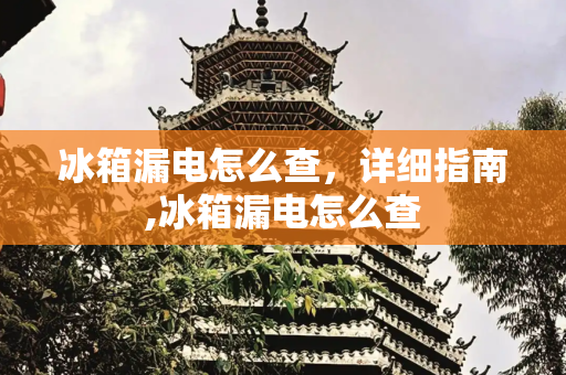冰箱漏电怎么查，详细指南,冰箱漏电怎么查