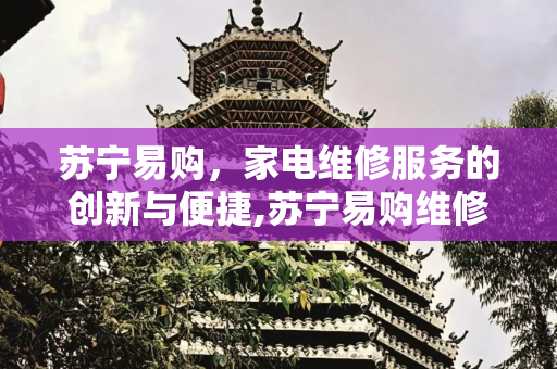 苏宁易购，家电维修服务的创新与便捷,苏宁易购维修服务