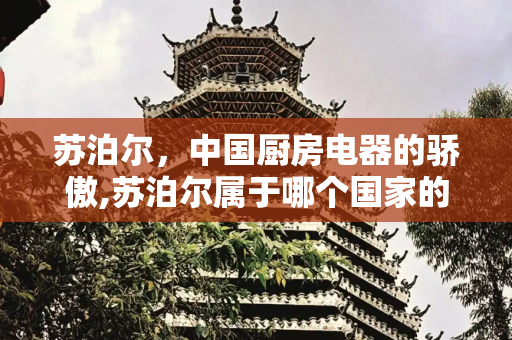 苏泊尔，中国厨房电器的骄傲,苏泊尔属于哪个国家的品牌