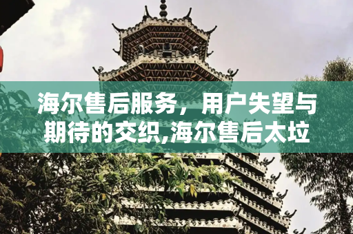 海尔售后服务，用户失望与期待的交织,海尔售后太垃圾了